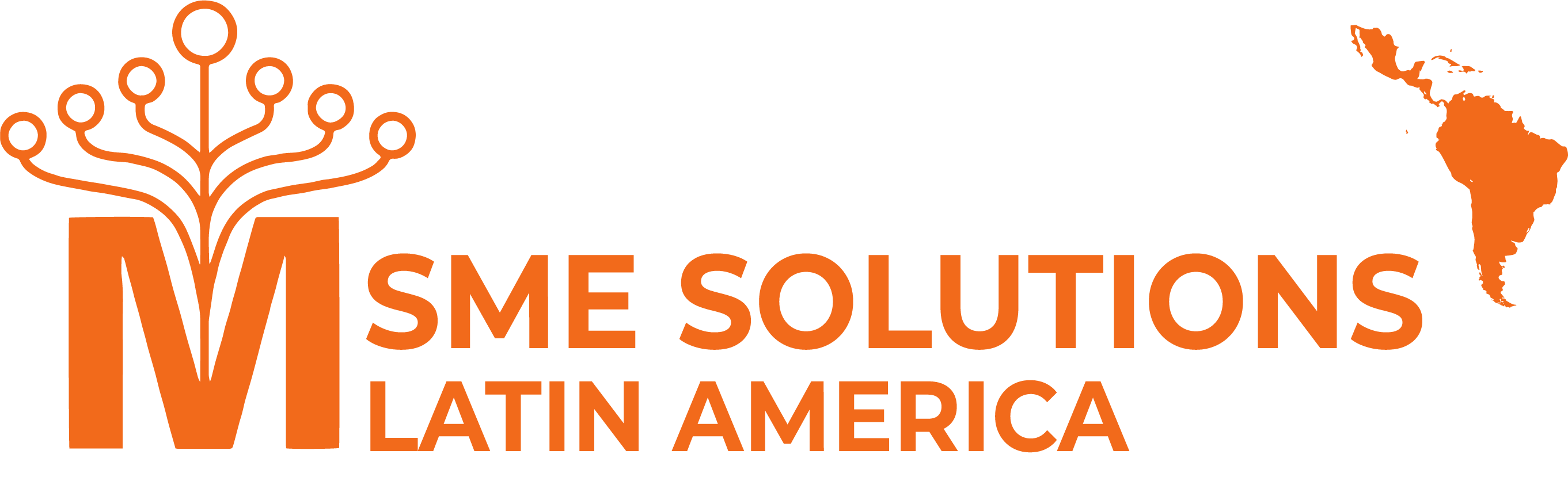 MSME Solutions Latin America Logo